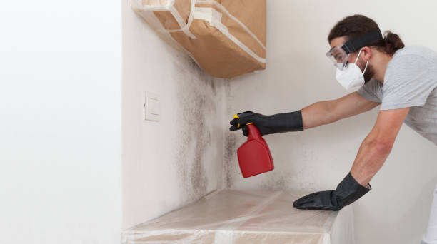 Professional Mold Testing technician working in Saint James, NY